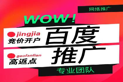 百度优化推广案例剖析：某电商平台的成功之路